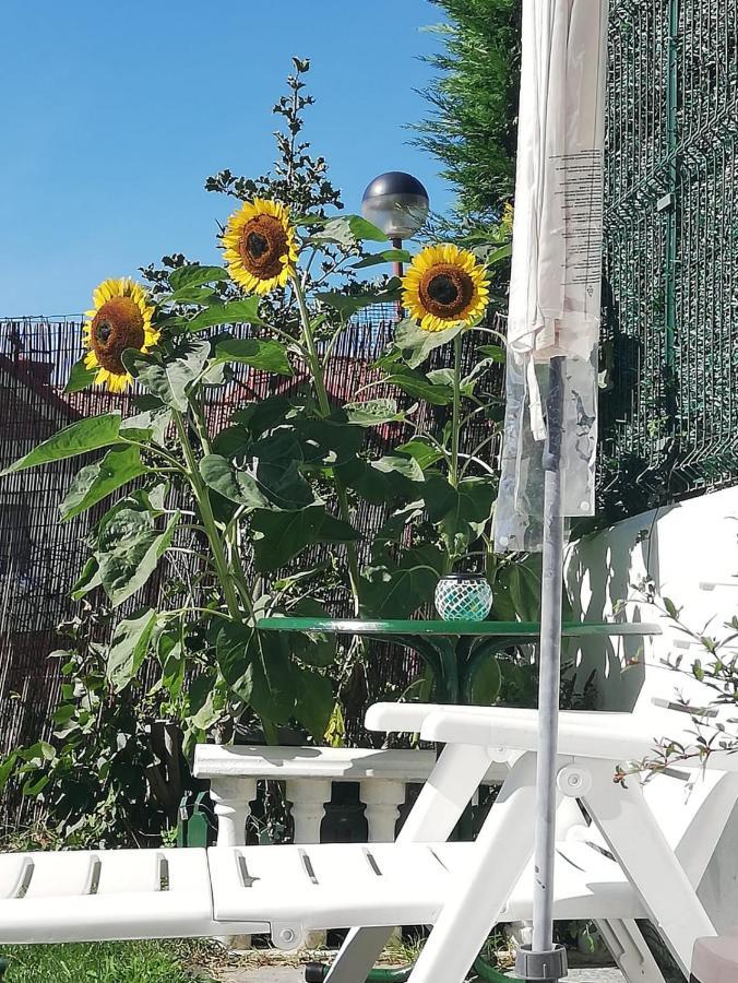 Adosado con vistas al mar los GIRASOLES Mogro Exterior foto