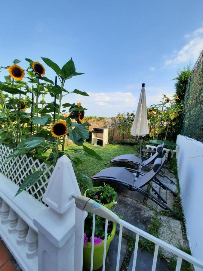 Adosado con vistas al mar los GIRASOLES Mogro Exterior foto